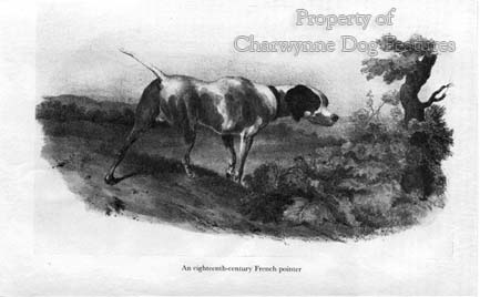Arkwright pointer sales